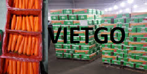 CÀ RỐT VIETGO